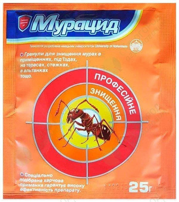 ������� �������, 25 �. ������ ������� �� ����� �� ��������