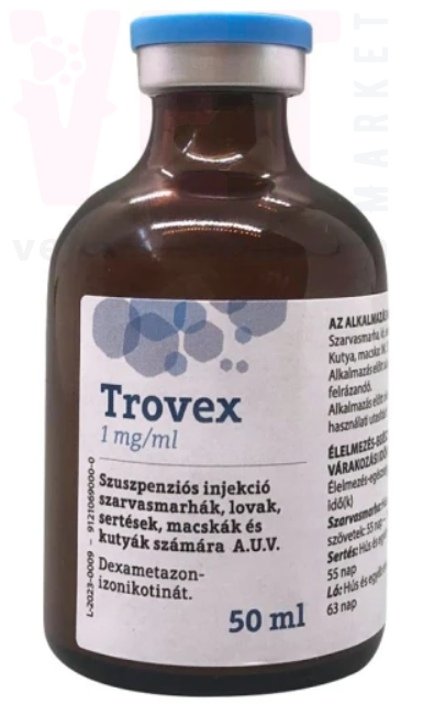 �������, 50 ��, Axience. �������������