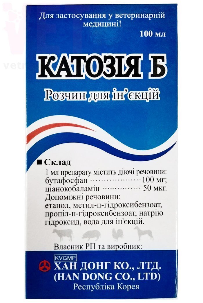 Порно Shimel бейне