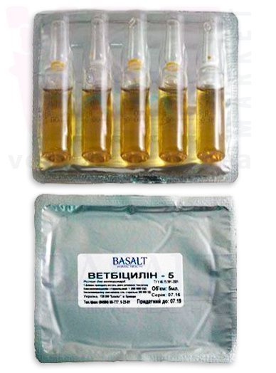 ����������-5 ������� ����������������� ��������, 5 ��, �������. �����������