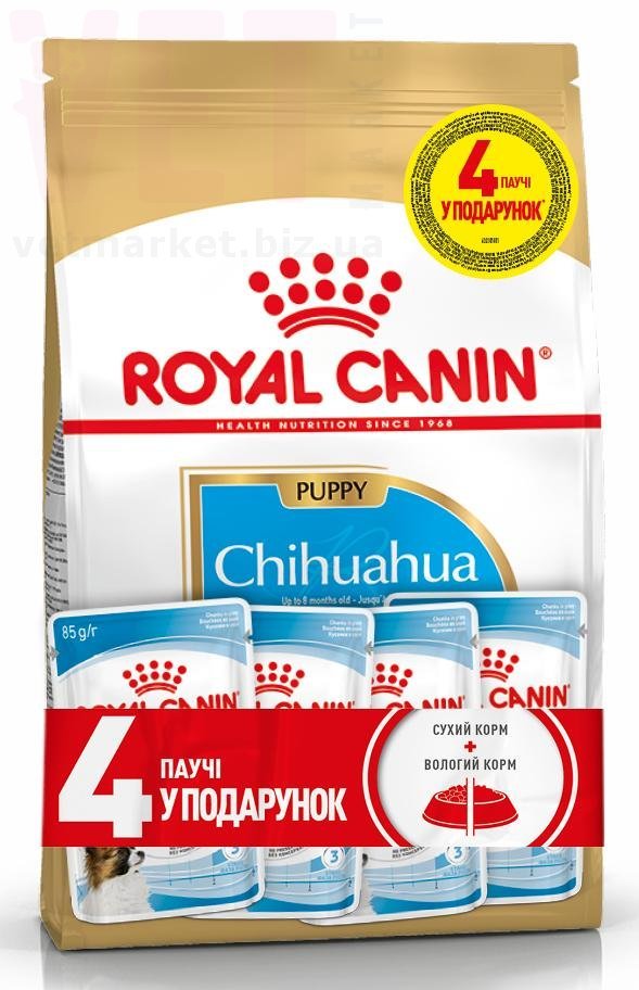 ���� ����� Chihuahua Puppy, 1,5 �� + 4 �����. Breed Health Nutrition - ������� � ������������ � �������