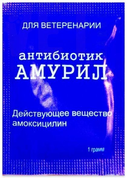 ������ �������, 1 �, �����. �����������