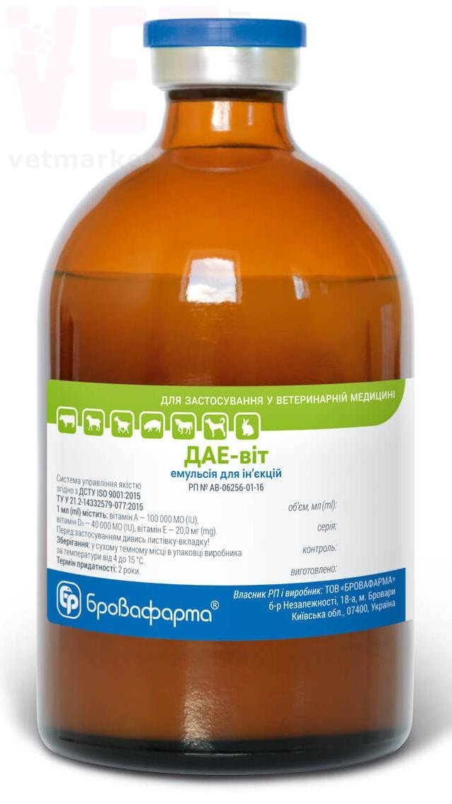 ���-���, 100 ��, ����������. ��� �������������������� ������