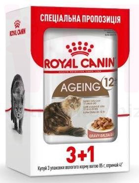 �����/���� ����� Ageing 12+  3+1. ����� / ����� � �����������