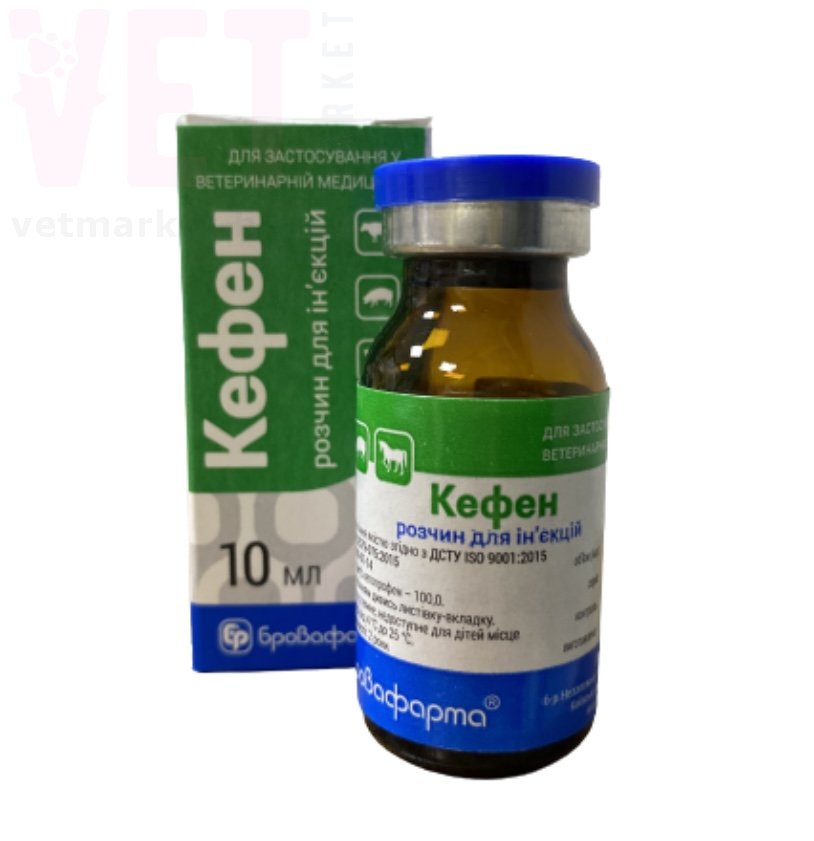 �����, 10 ��, ����������. �������������