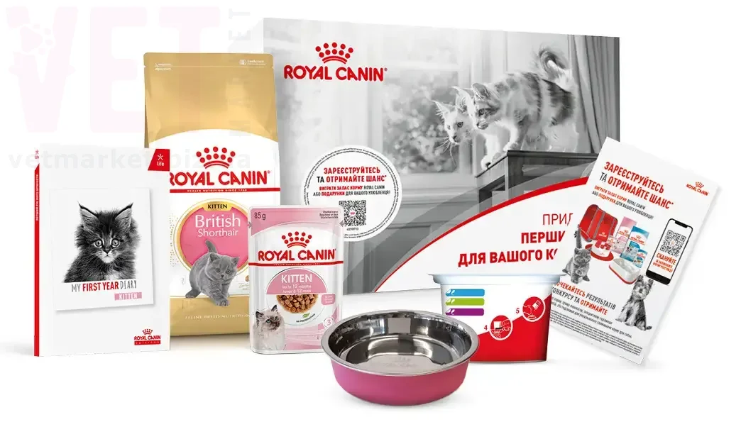 ���� ����� British Kitten ��������� �����. Feline Breed Nutrition - ������� � ������������ � �������