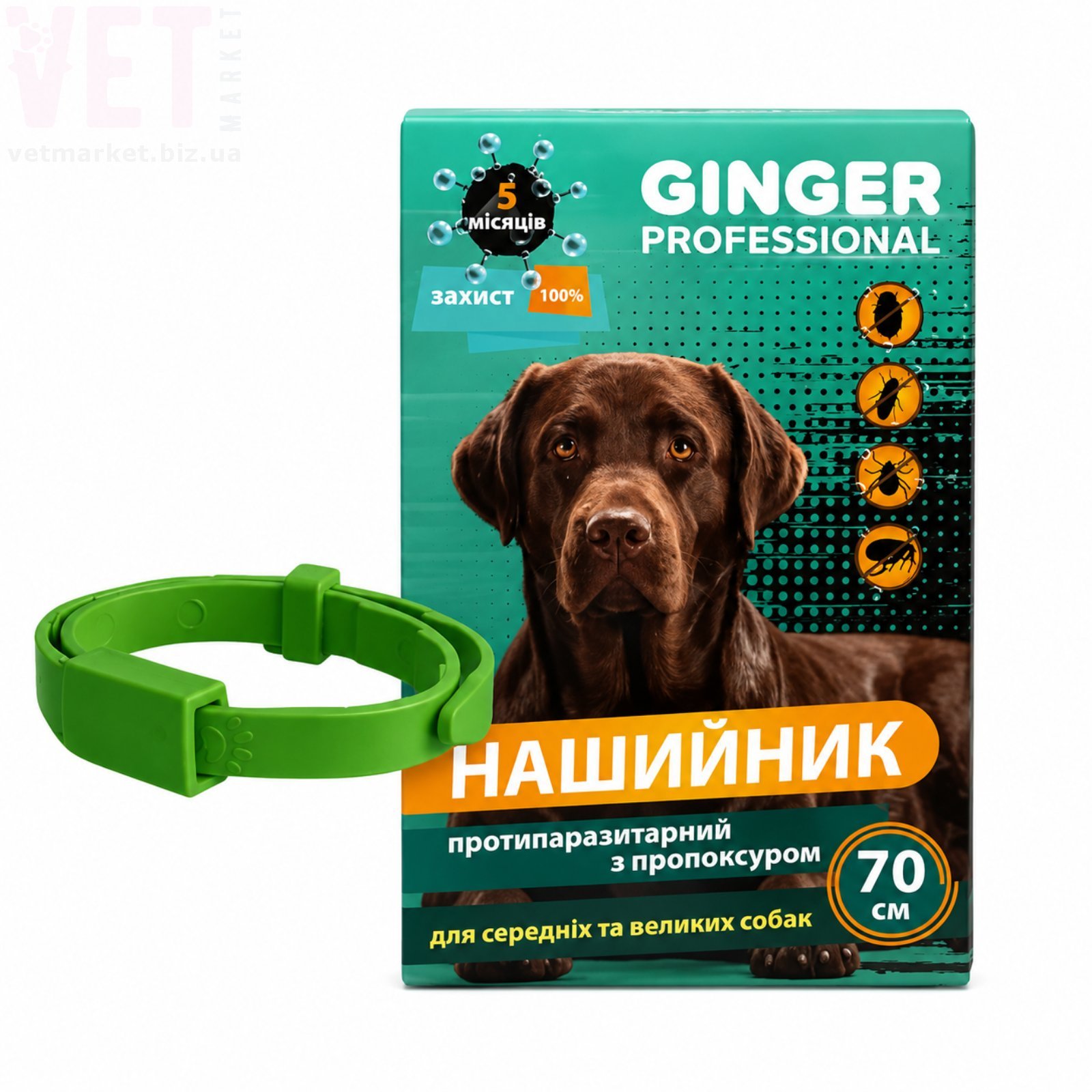 �������� Ginger Professional ������� �� �����, 70 ��, �������. ��������