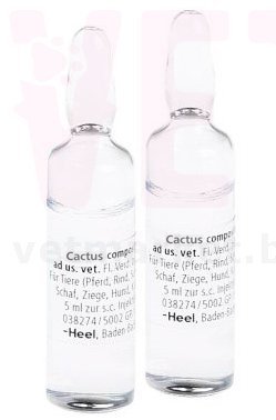 �����/������ ����������, 5 ���.*5 ��, ����. ����� / ����� � �����������