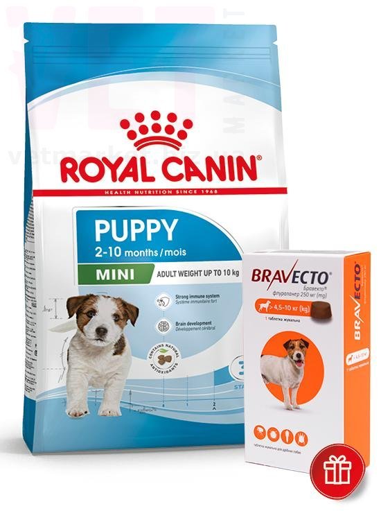 ���� ����� Mini Puppy, 8 �� + ��������. Mini (4-10 ��)