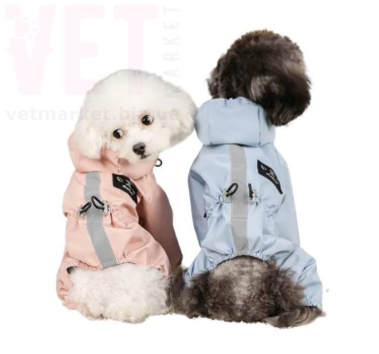 ���������� 100-38 �� ��������������� �������. �����/����