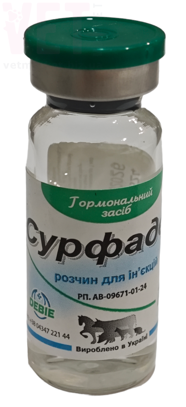 ��������, 10 ��, �����. ���������� ���������� �����