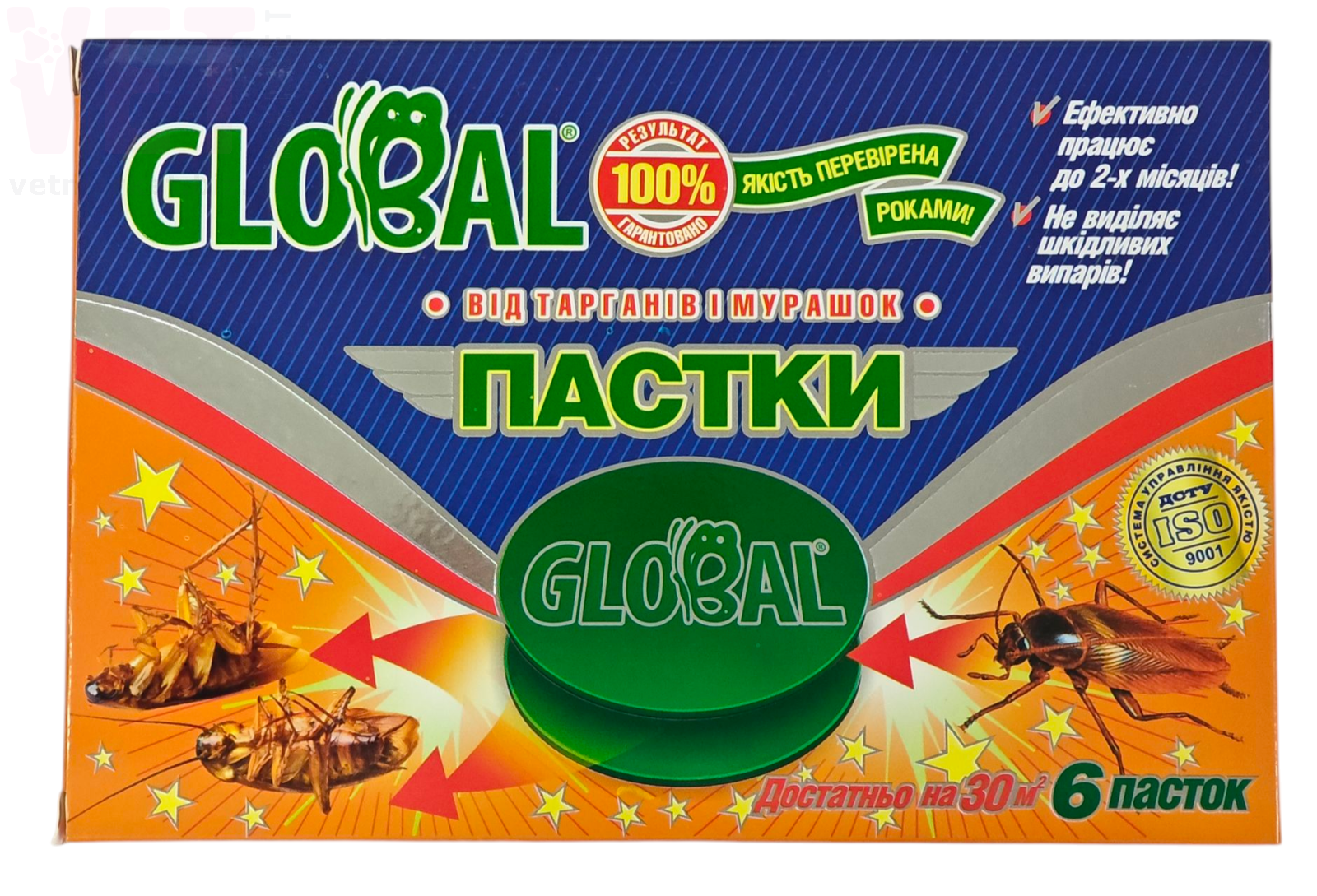 ������ �������, 6 ��. ������ ������� �� ����� �� ��������