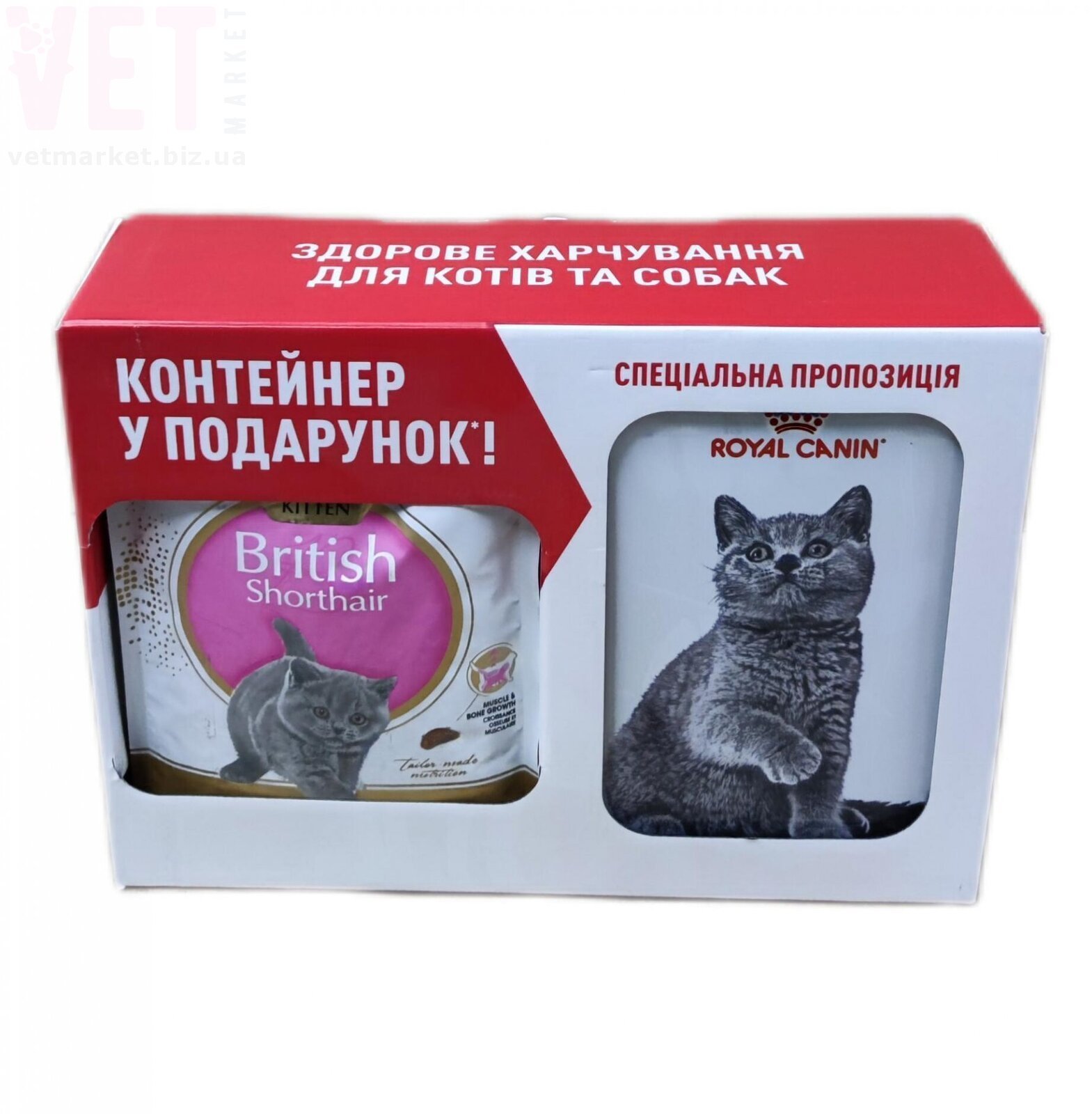 ���� ����� Kitten British Shorthair, 2 �� + ���������. Feline Breed Nutrition - ������� � ������������ � �������