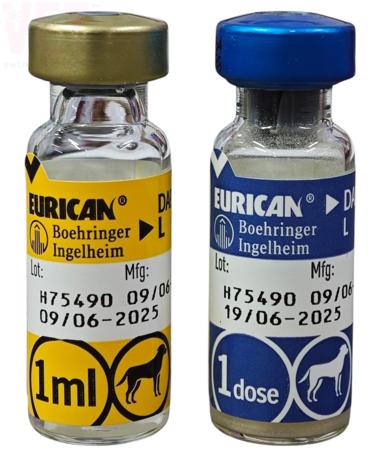 ������� ������� DHPPI2+L, Boehringer Ingelheim. �������, ���������