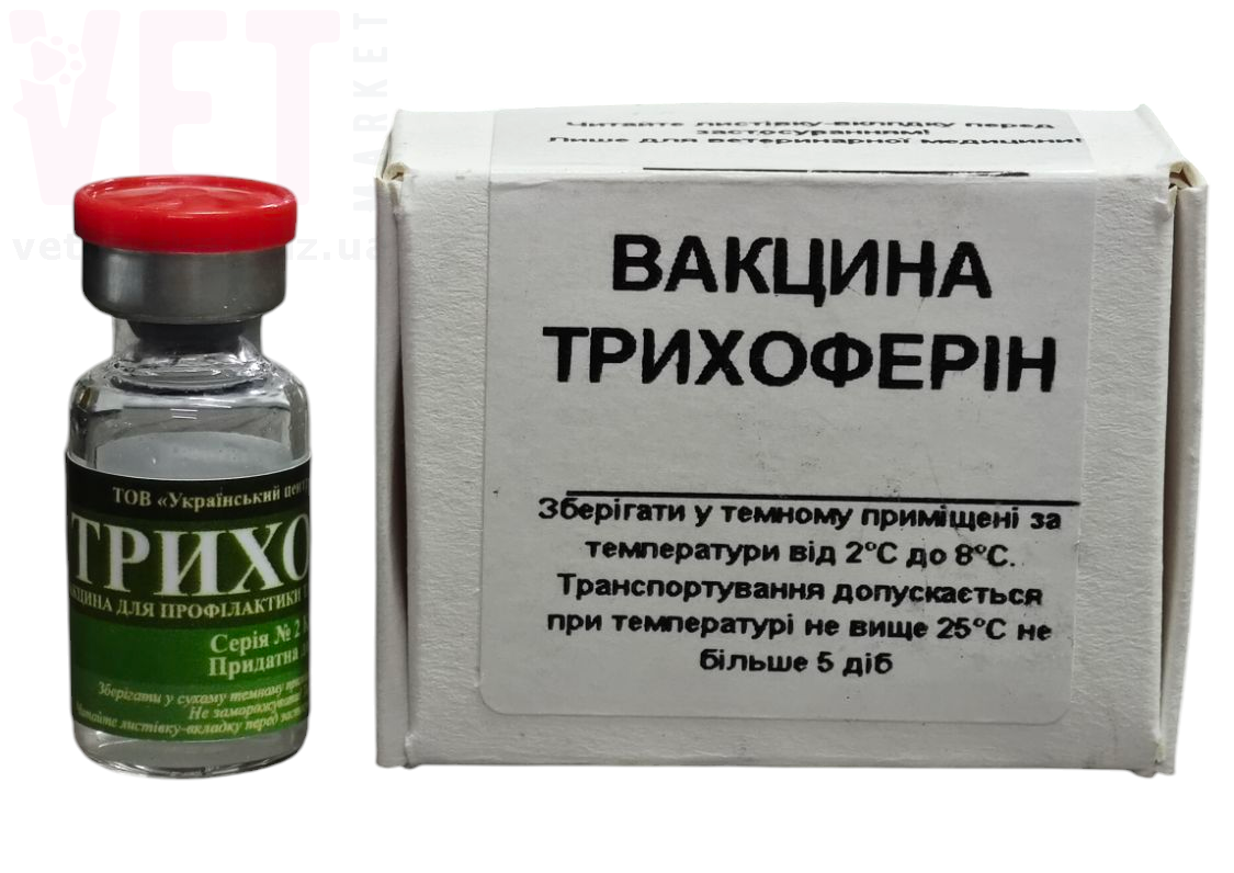 ����������, 1 ��, �����. �������, ���������