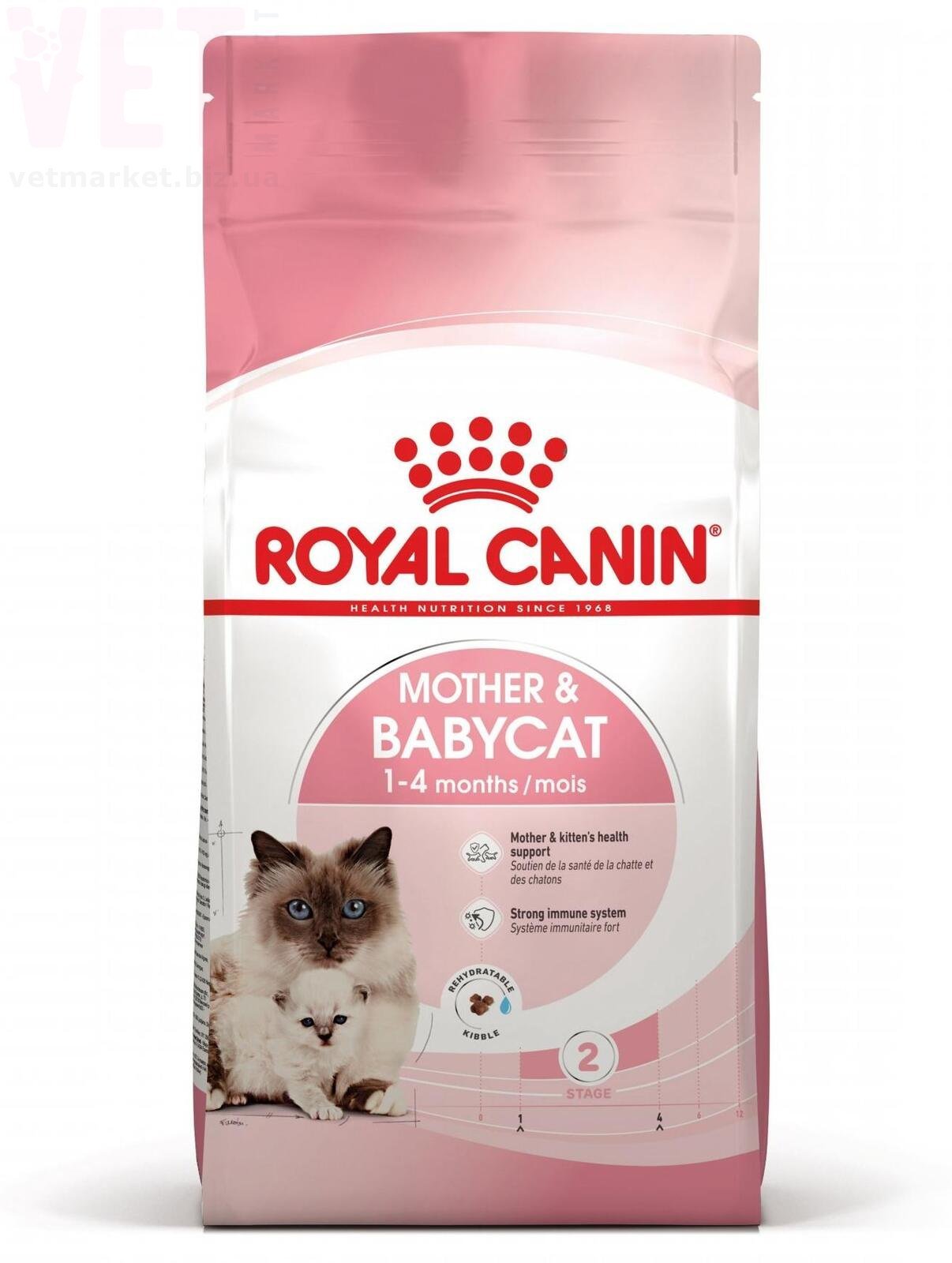   Mother and Babycat, 2 . GROWTH