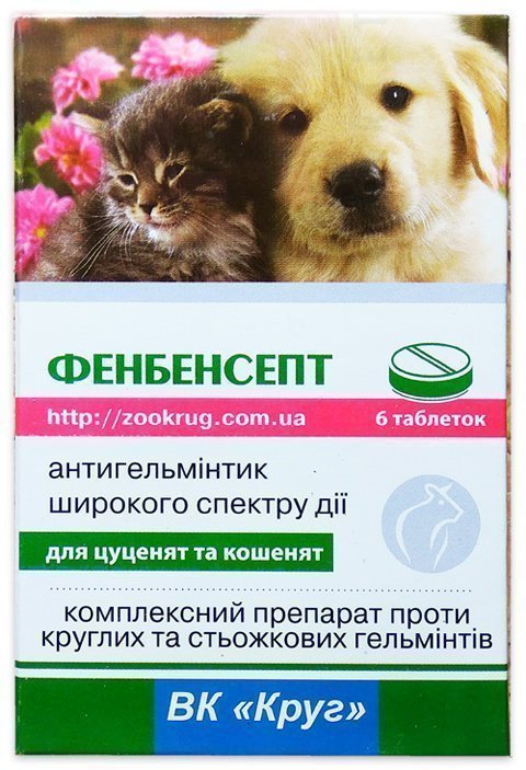 �����/���������� ��� ������ � �����, 6 ����.. ����� / ����� � �����������