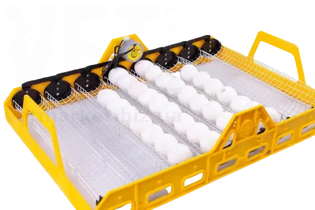 ����� ��������������� ���������� ��� ���������� �� 72 ���� � ������� 220 �. ���������� �� ������������ �� ����������