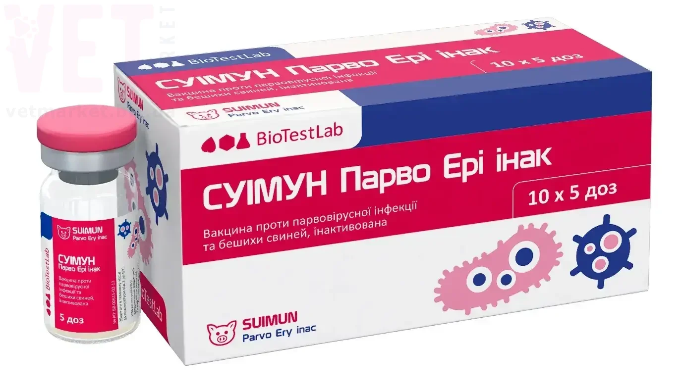 ������ �����-���, 5 ���, ����������. �������, ���������