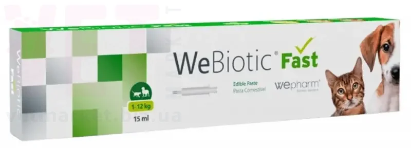�������� ���� WeBiotic Fast, 15 ��, Wepharm. ����������
