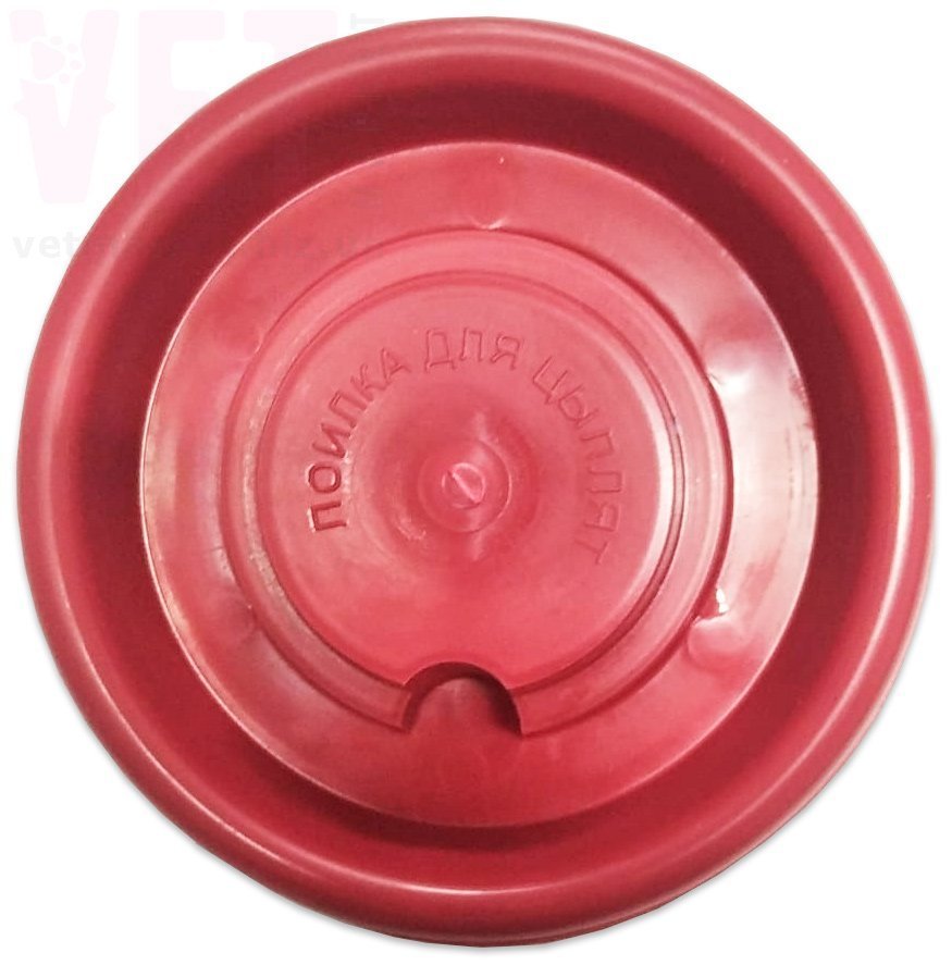 �����/������ ��� ������ ��� ����� �7. ����� / ����� � �����������