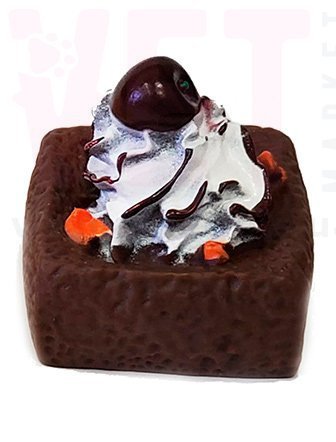 ������� ��������� �������� ���������� 95-21. ����� �������