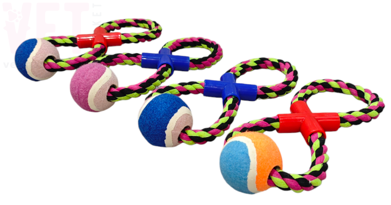 ������� 2-4 ��������� � ��������� �����. ��������