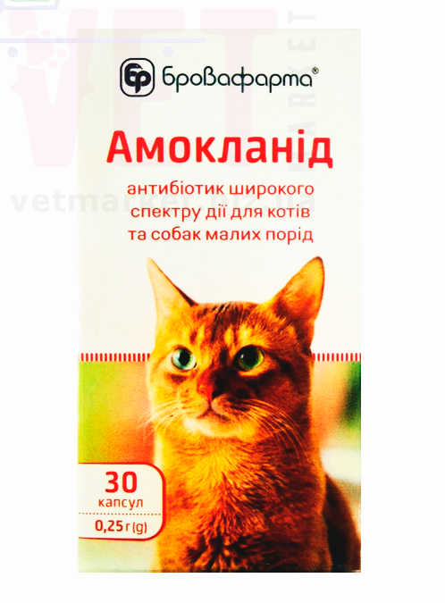 ��������� 0,25 � �30, ����������. ������������� � ����������������� ���������