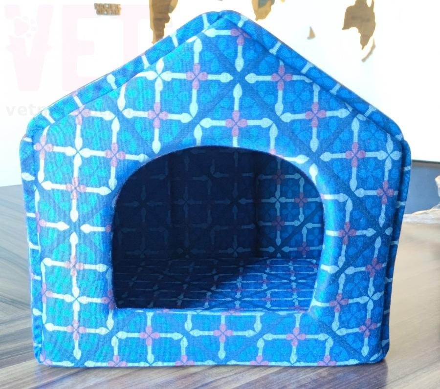 �����-����� �������� �����. ���������