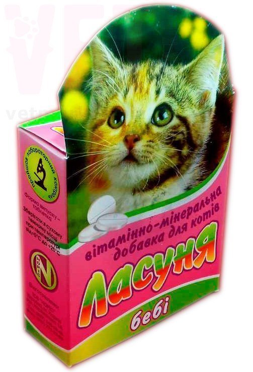 ������ ��� ����� ����, 100 ����., �����. ��� ����