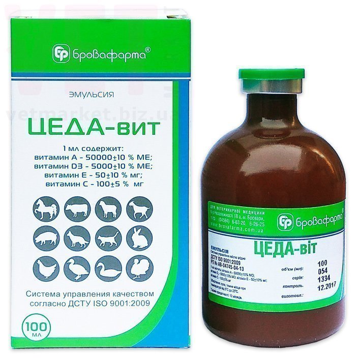 �����/����-���, 100 ��, ����������. ����� / ����� � �����������