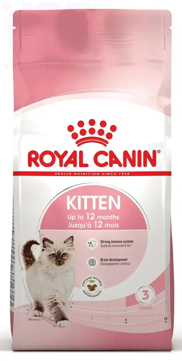 ���� ����� Kitten, 1,2 ��. GROWTH