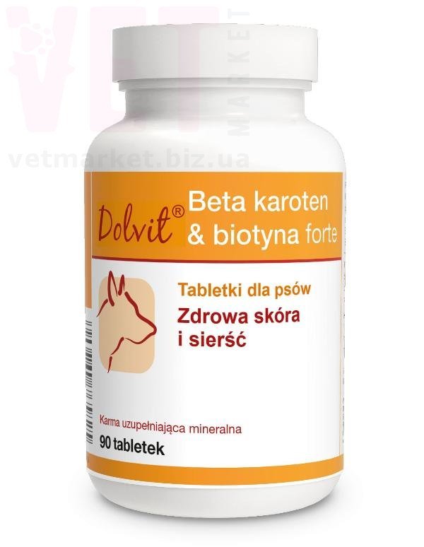 ������ ���� ������� � ������ ����� ��� �����, 90 ����., Dolfos. ��� �����