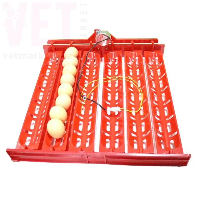 ����� ��������������� ���������� ��� ���������� �� 48 (60) ��� � ������� 220 �. ���������� �� ������������ �� ����������