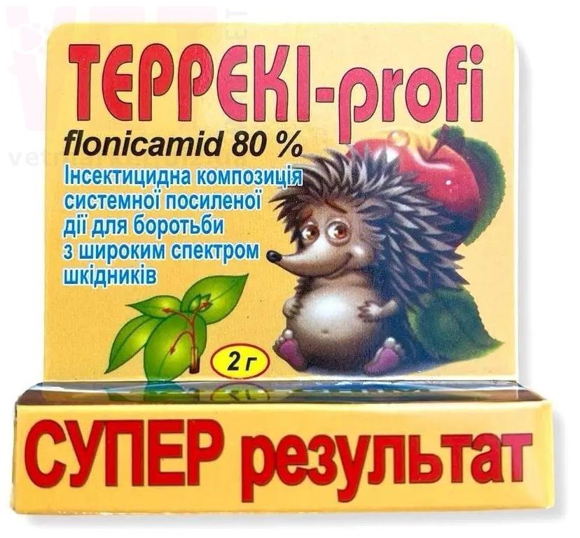 ������� �����, 2 �. ������ ������� �� ����� �� ��������