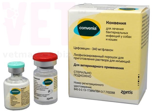 ��������, 4 ��, Zoetis. ������������� � ����������������� ���������