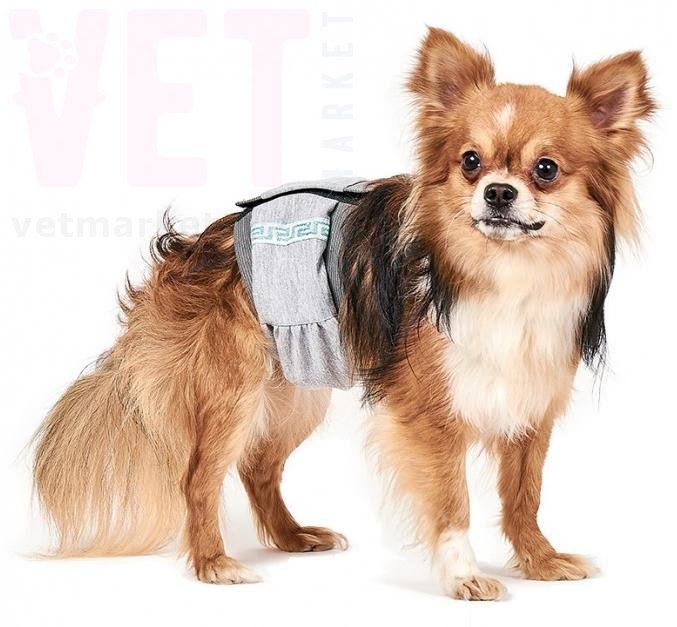 ���� ������������� ��� ������� S. ϳ������������� ������ �� �������� ��������