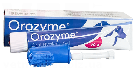 ������ ������ ����, 70 �. ������ ��� ������ ���������