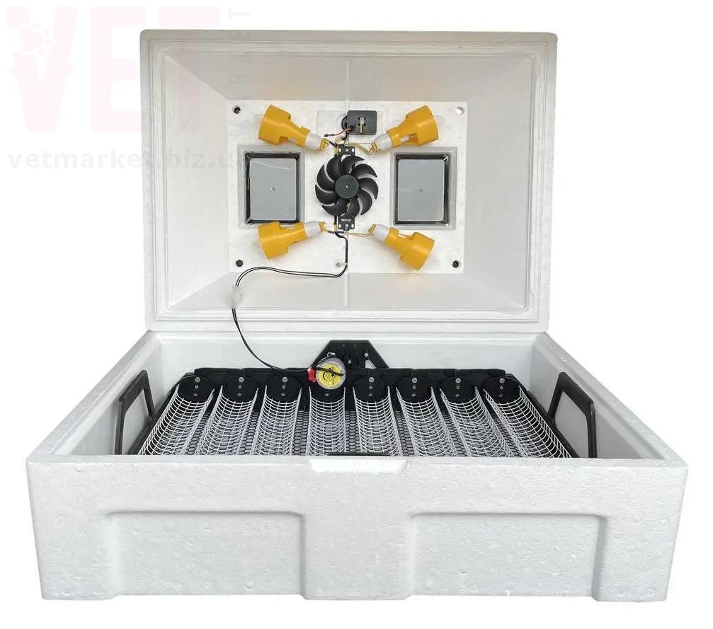 ��������� �������������� ������� ���� 72 �������� � ����������. ���������� � ������������ �����������