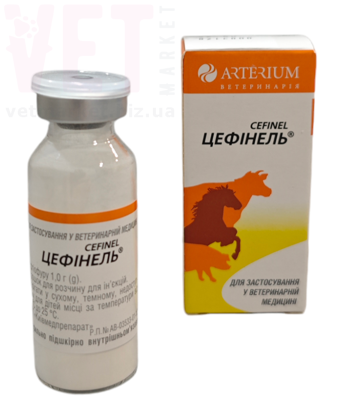 ��������, 1 �, ��������. ������������� � ����������������� ���������