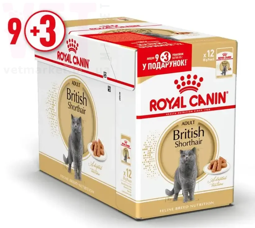 ���� ����� British Shorthair Adult 9+3. Feline Health Nutrition Wet - ������� �������
