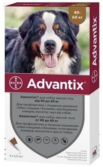 ��������� ��� ����� 40-60 ��, 1 ���.*6 ��, Bayer. �����