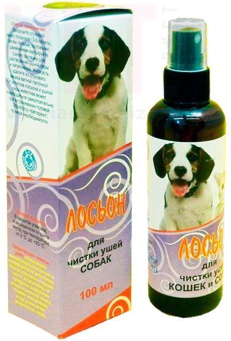 ������ ��� ������ ����, 100 ��, �����. ����� �����, ����, �������