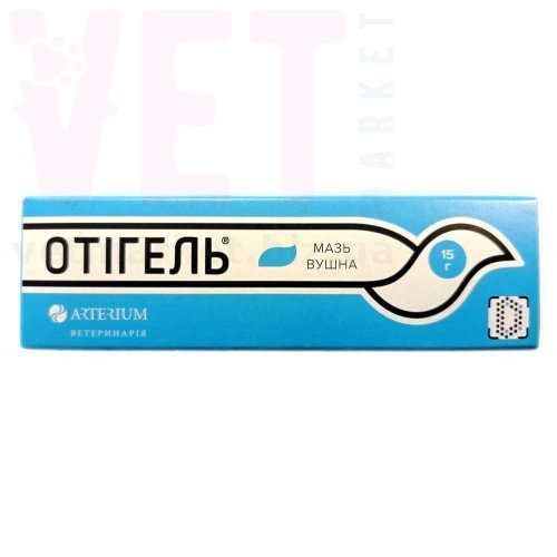 ������� ���� �����, 15 ��, ��������. ����� �����, ����, �������