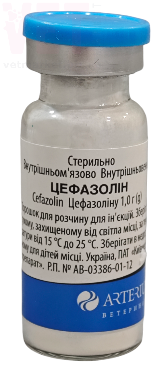 ���������, 1 �, ��������. ������������� � ����������������� ���������