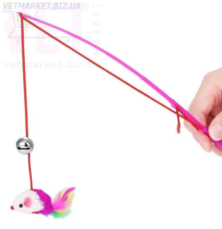 ������� 6-38 ������ � ������. ������� ��� �����