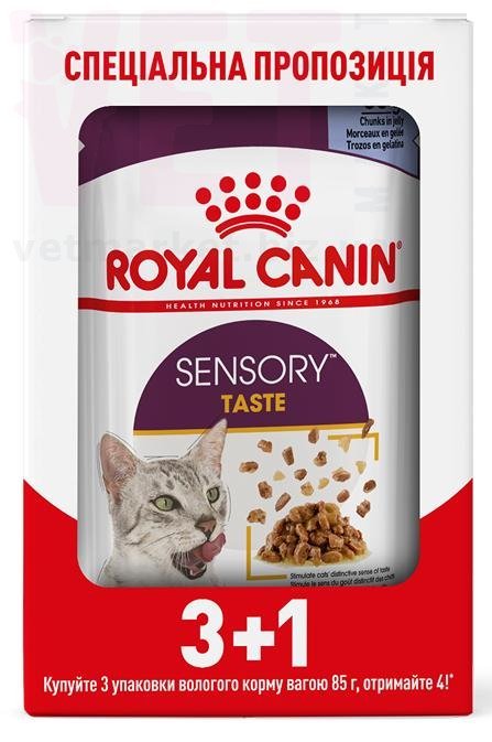 ���� ����� Sensory Taste Jelly 3+1. Feline Health Nutrition Wet - ������� �������