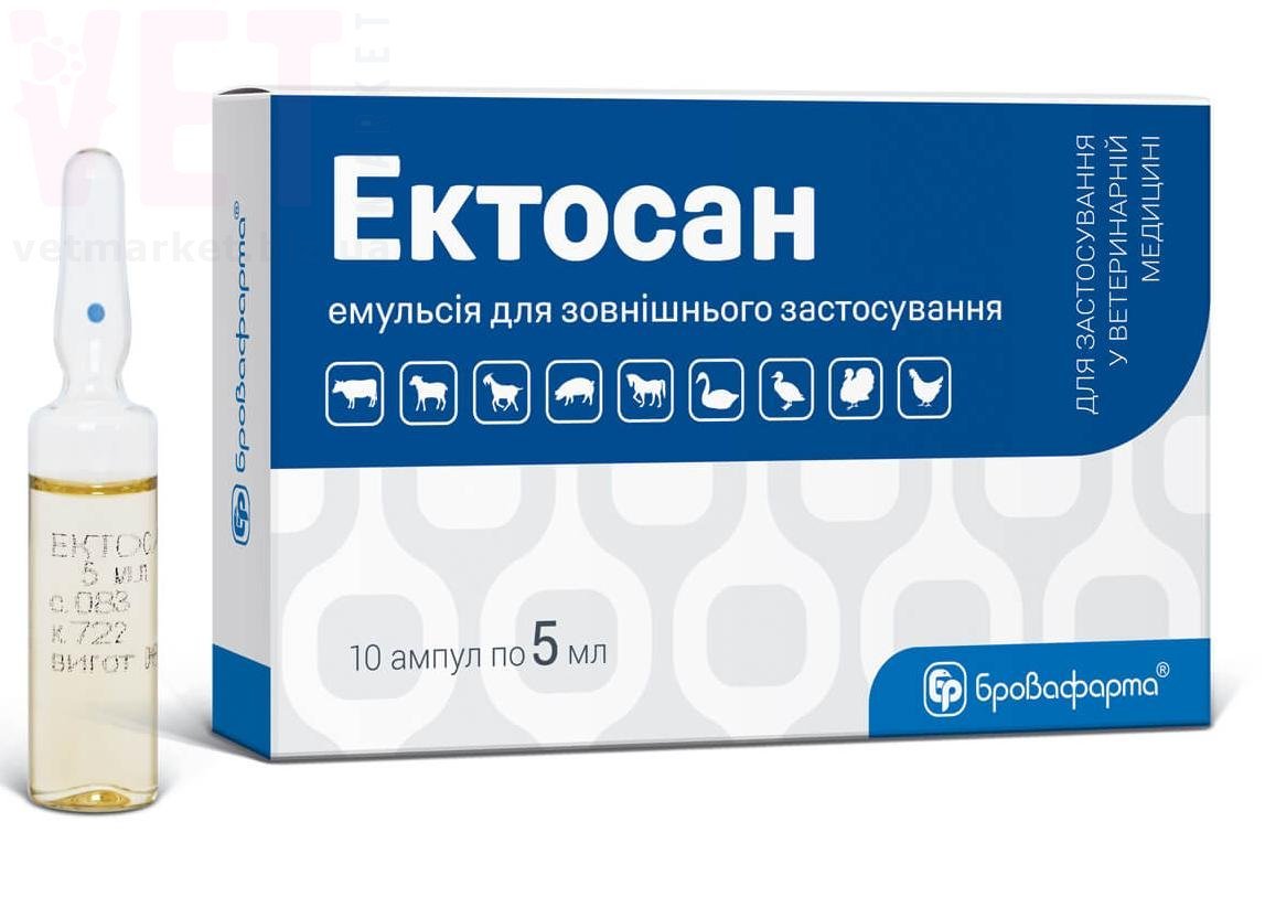 �������, 5 ��, ����������. ��� �/� �������� � ����