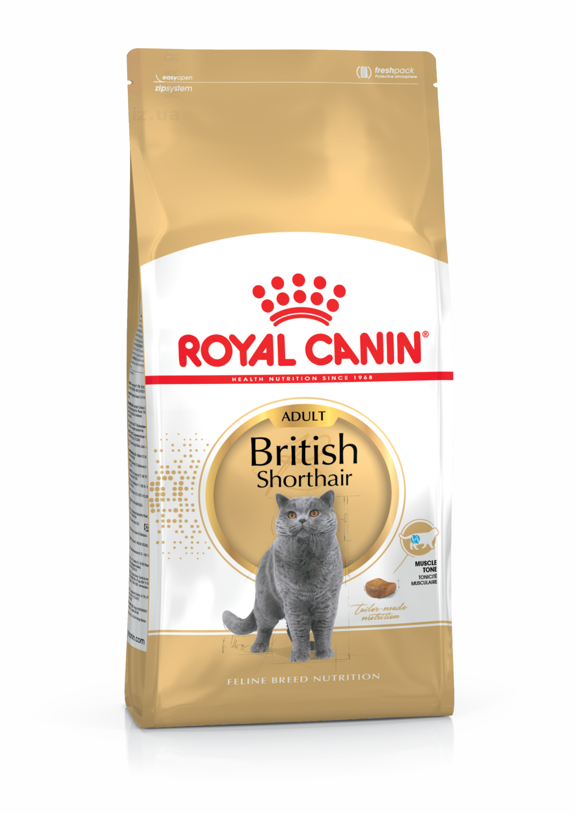   British Shorthair Adult, 10 . Feline Breed Nutrition -     