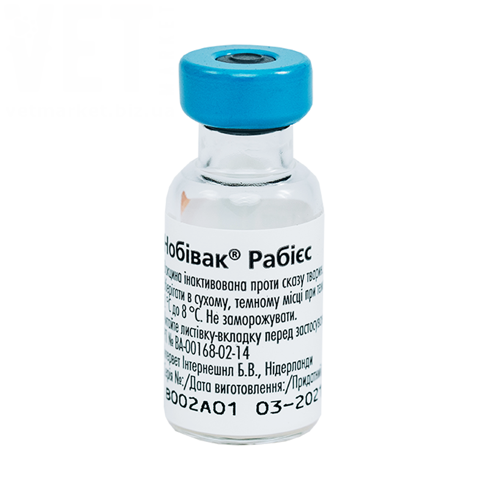 ������� ������, MSD. �������, ���������